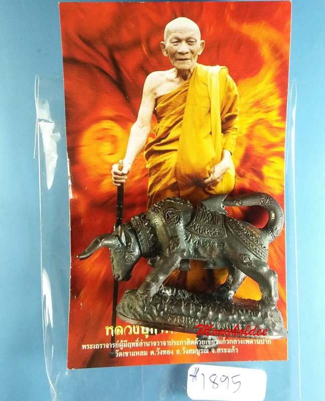 วัวธนูทองคะนองฤทธิ์ หลวงปู่กาหลง เขี้ยวแก้ว วัดเขาแหลม ปี51 เนื้อนวะโลหะขอมโบราณพันปี No.1895