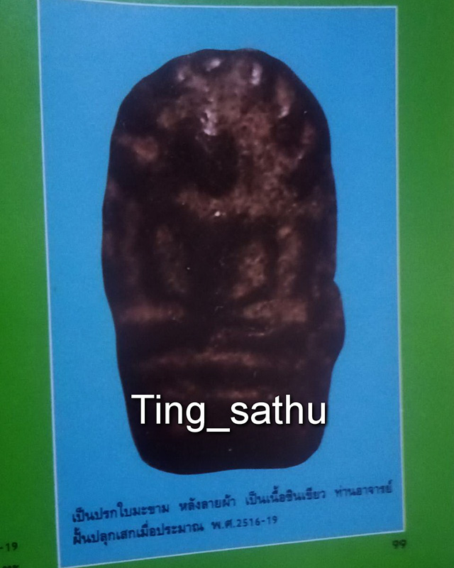2.พระปรกใบมะขามเนื้อชินหลังลายผ้า พระอาจารย์ฝั้น วัดป่าอุดมสมพร จ.สกลนคร ปลุกเสก ปี 16-19