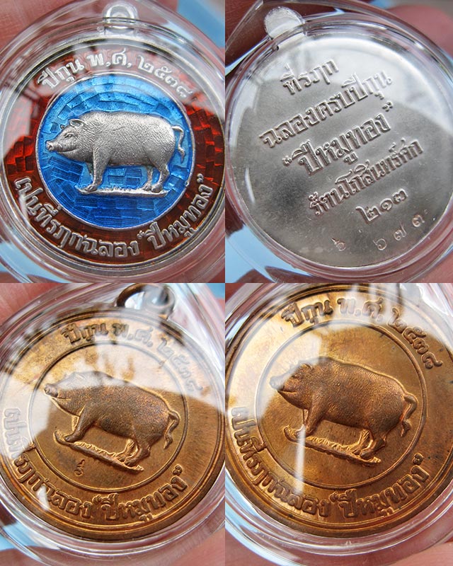 ชุดเหรียญหมูกรรมการ "ที่ระลึกปีหมูทอง" หลวงพ่อสาคร มนุญโญ วัดหนองกรับ เนื้อเงินลงยา, ทองแดงสองหน้า