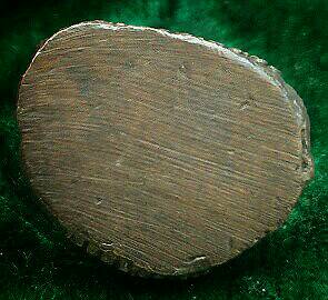 รูปหล่อนั่งเสือ หลวงปู่เปลื้อง อายุ108ปี วัดลาดยาว นครสวรรค์ รุ่นประสบการร์ยุคต้นออกปี 45