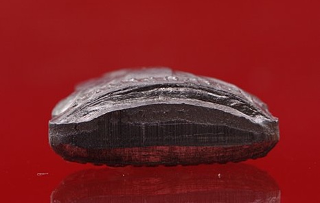 รูปเหมือนปั๊ม หลวงพ่อชำนาญ วัดบางกุฏีทอง รุ่น 2 ปี 2547...../115