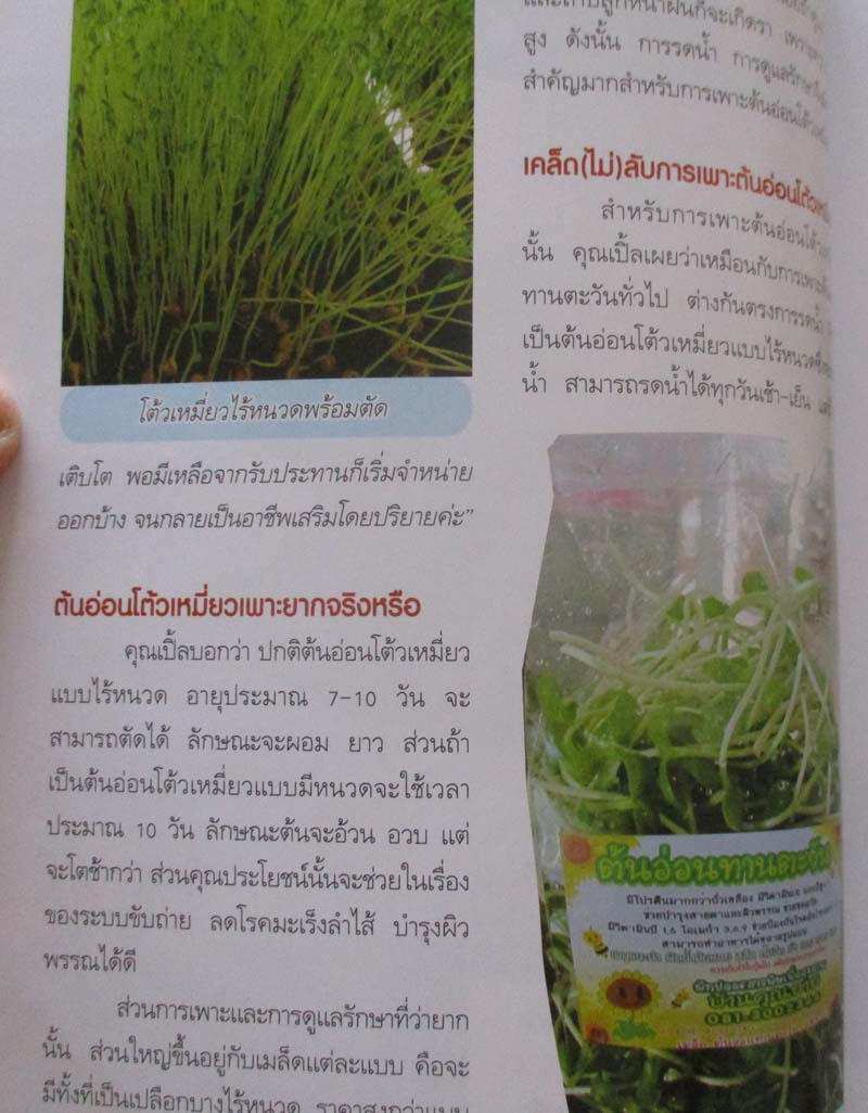 หนังสือเมล็ดงอกเพื่อสุขภาพ/ทำเงิน