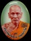 ล็อกเก็ต รวย เจริญ ลาภ ยศ หลวงพ่อพัฒน์ วัดห้วยด้วน จ.นครสวรรค์ (ฉากเขียว ฝาปิดทองทิพย์) หมายเลข 581