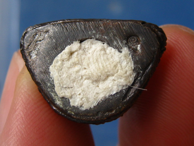 รูปหล่อ หลวงพ่อแหร่ม ครบ 79 ปี