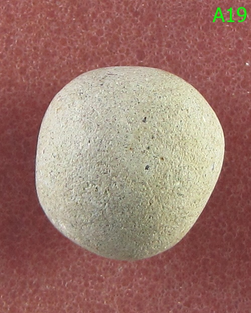 ลูกอมมหาเสน่ห์ หลวงพ่อสงวนวัดไผ่พันมือ