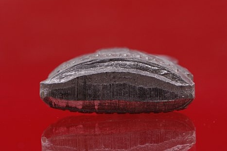 รูปเหมือนปั๊ม หลวงพ่อชำนาญ วัดบางกุฏีทอง รุ่น 2 ปี 2547...../152