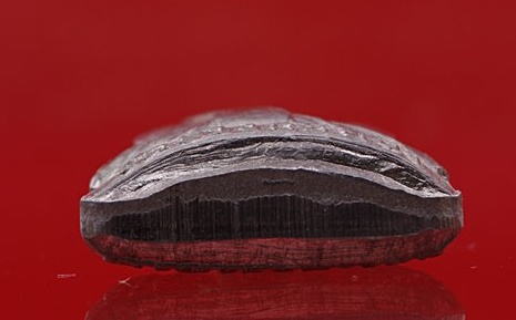 รูปเหมือนปั๊ม หลวงพ่อชำนาญ วัดบางกุฏีทอง รุ่น 2 ปี 2547...../AA