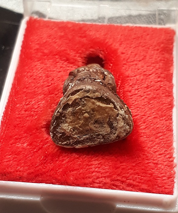 รูปหล่อลอยองค์  หลวงปู่ทวด ก้นอุดผงเก่า