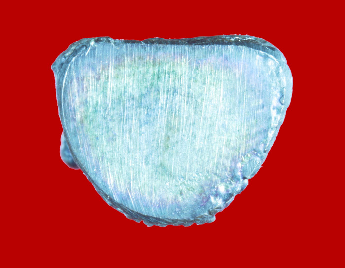 พระรูปหล่อหลวงพ่อทอง วัดดอนขวาง จ.อุทัยธานี