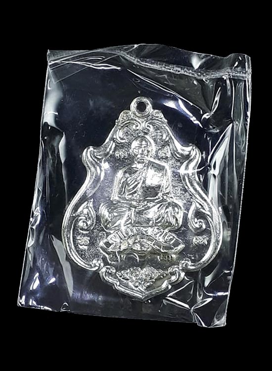 เหรียญโภคทรัพย์ ขี่เต่า หลวงพ่อสาคร วัดหนองกรับ จ.ระยอง ปี2552