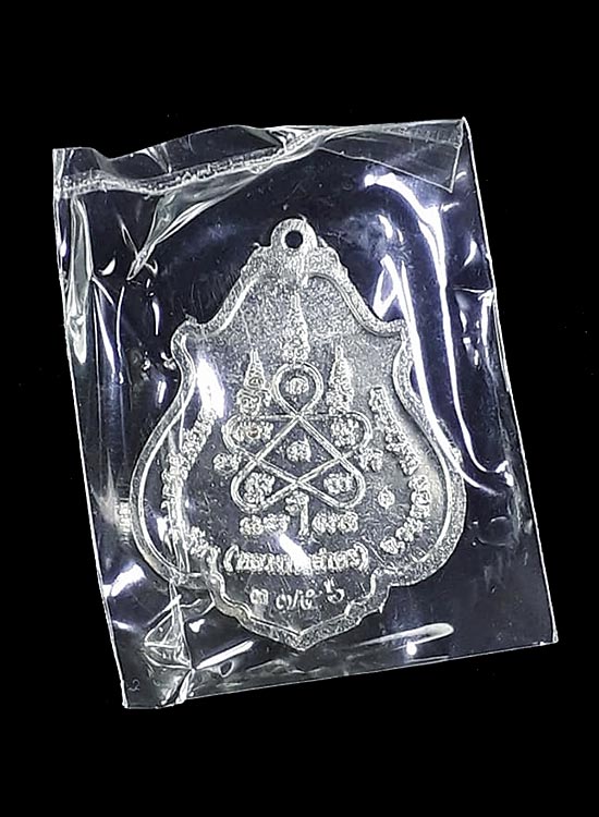 เหรียญโภคทรัพย์ ขี่เต่า หลวงพ่อสาคร วัดหนองกรับ จ.ระยอง ปี2552