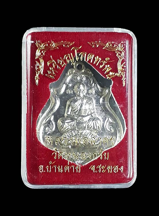 เหรียญโภคทรัพย์ ขี่เต่า หลวงพ่อสาคร วัดหนองกรับ จ.ระยอง ปี2552