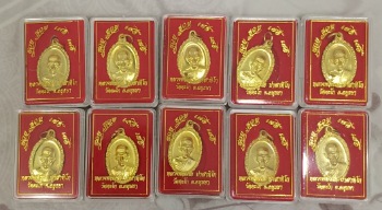 เหรียญหลวงพ่อรวย วัดตะโก รุ่น รวยๆ เฮงๆ ((บล๊อคขนไก่เต็ม))นิยม 10 เหรียญ