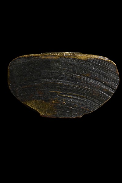 พระกริ่งโสธร 08 หน้าเทวดา รมดำเดิม สภาพสวย 