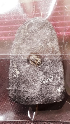 หลวงปู่ทวดเนื้อว่าน "รุ่นวิเศษ 60" หลังฝังข้าวสารหิน สภาพสวยเดิมเก่าเก็บครับ