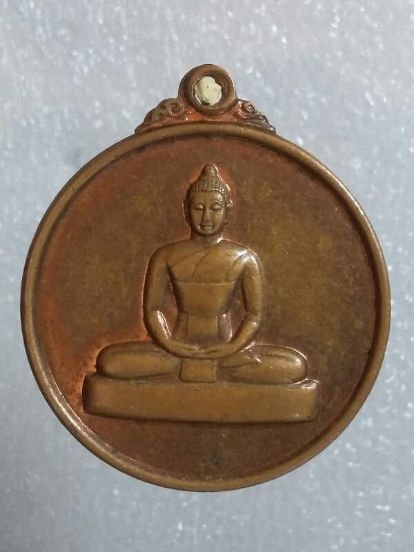 เหรียญพระพุทธธรรมกาย กันภัย ปี48 เนื้อทองแดง เคาะเดียวครับ