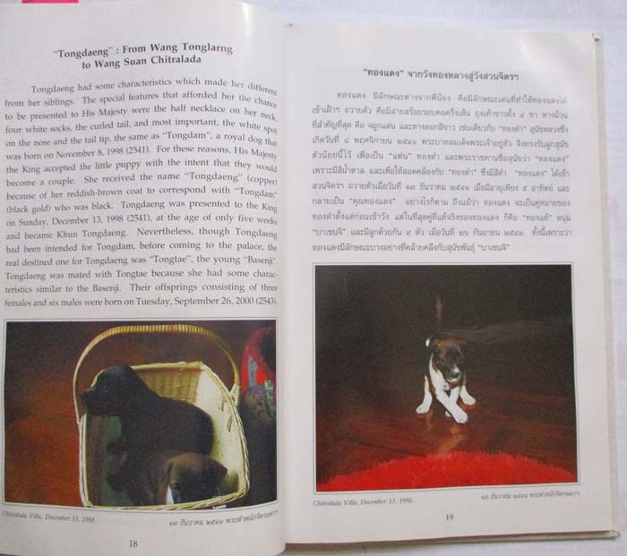 หนังสือ เรื่องทองแดง พระราชนิพนธ์ ในหลวงรัชกาลที่9