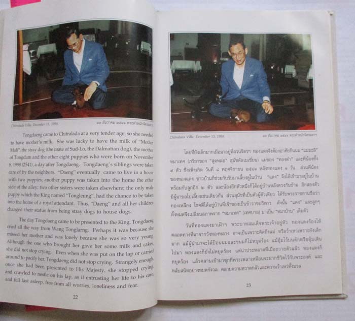 หนังสือ เรื่องทองแดง พระราชนิพนธ์ ในหลวงรัชกาลที่9