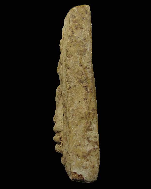 พระมงคลมหาลาภนาคปรกหลังยันต์ คุณแม่บุญเรือน โตงบุญเติม 2499 