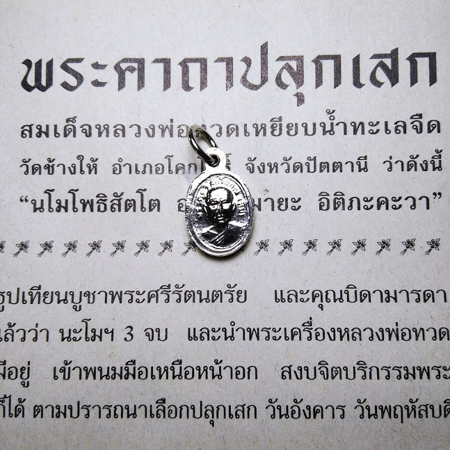 เหรียญเม็ดแตง หลวงปู่ทวด วัดช้างให้ ปัตตานี พร้อมใบคาถาจากวัด 