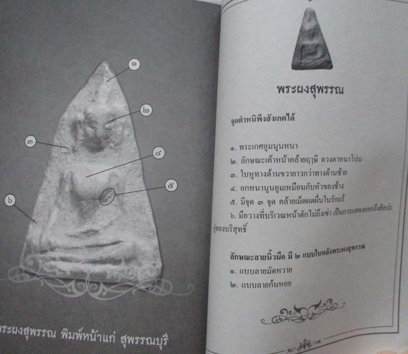 หนังสือ เซียนส่องพระเบญจภาคี