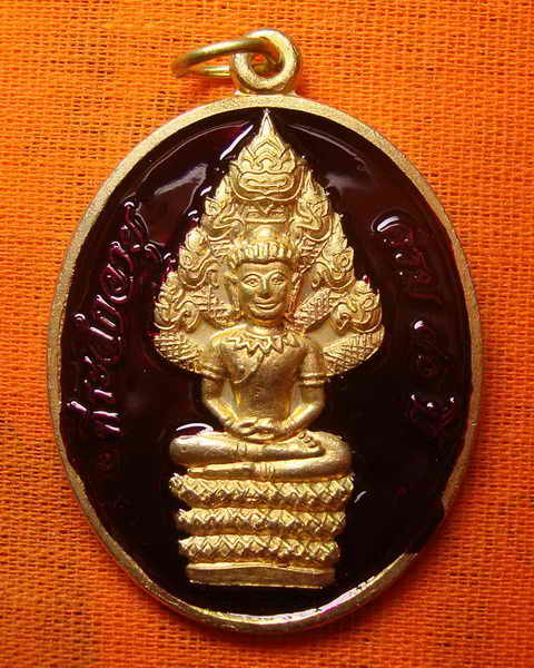 เหรียญนาคปรก รุ่นแรก ปี ๒๕๕๑ (ปรกยิ้ม) หลวงพ่อสิน วัดละหารใหญ่ เนื้อทองฝาบาตร ลงยาสีม่วง หมายเลข ๓๙๑