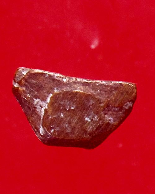 พระปิดตานะมหามงคล อาจารย์ศรีเงิน วัดดอนศาลา 