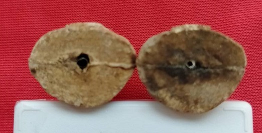 พระปิดตาลอยองค์ หลวงปู่พรหมมา เขมจาโร เนื้อว่าน ฝังตะกรุดเงิน ชุดกรรมการ จำนวน 2 องค์ (เคาะเดียว)