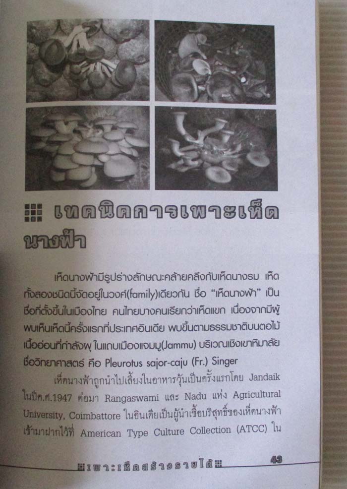 หนังสือ เพาะเห็ดสร้างรายได้