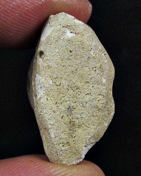 พระปิดตาหลวงพ่อทองสุข พิมพ์เยาวราช