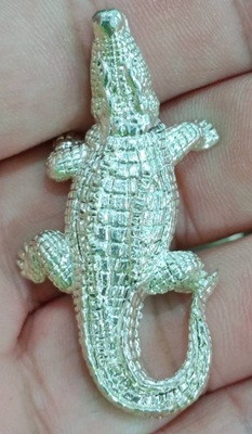 พญาจระเข้ วัดเขากะโหลก จ.ประจวบคีรีขันธ์ 2 ตัว