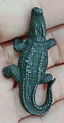 พญาจระเข้ วัดเขากะโหลก จ.ประจวบคีรีขันธ์ 2 ตัว