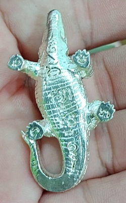 พญาจระเข้ วัดเขากะโหลก จ.ประจวบคีรีขันธ์ 2 ตัว