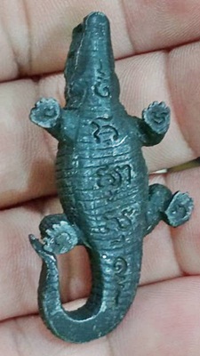 พญาจระเข้ วัดเขากะโหลก จ.ประจวบคีรีขันธ์ 2 ตัว