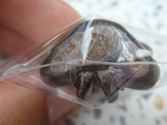 1. กุมารแก้มบุ๋ม หลวงตาช้วน