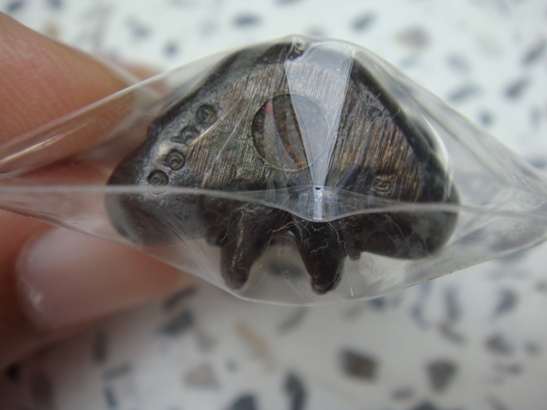 2. กุมารแก้มบุ๋ม หลวงตาช้วน