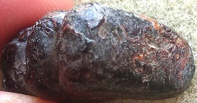 *ปิดตาเนื้อครั่งเก่า*