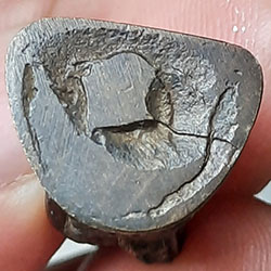 รูปหล่อหลวงพ่อเชื้อ จนฺทสโร วัดวังกร่าง อ.บางมูลนาค จ.พิจิตร รุ่น 2