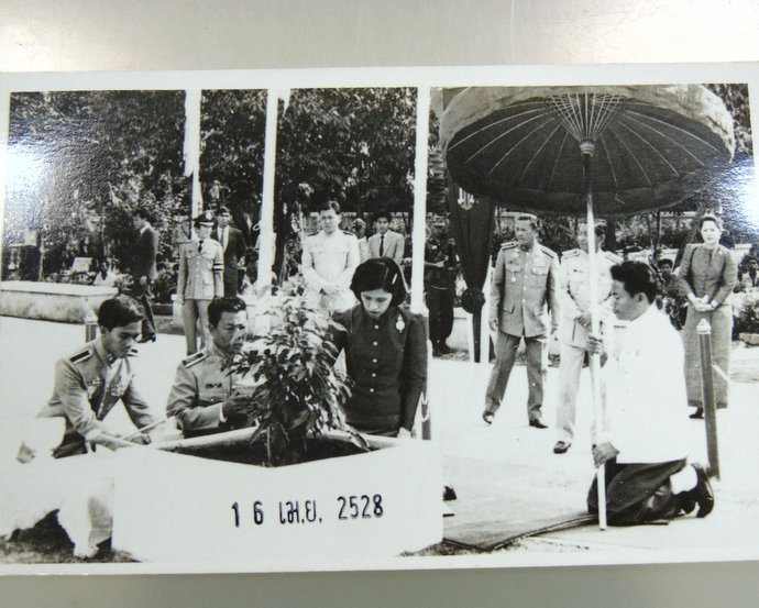 รูปถ่ายทรงงาน สมเด็จเจ้าฟ้าฯ กรมพระศรีสวางควัฒน วรขัตติยราชนารี