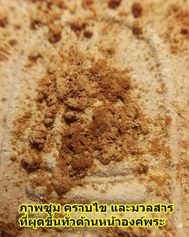 พระผงสมเด็จอนาลโย หลวงปู่ขาว รุ่นเมตตา วัดถ้ำกลองเพล จ.หนองบัวลำภู