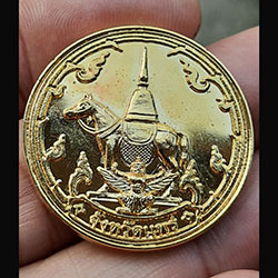 เหรียญรวมพลคนปีขาล สั่งสมบารมีททาน ร่วมสมัครสมาน สามัคคี จ.แพร่ ( เนื้อกระไหล่ทอง พร้อมกล่อง )