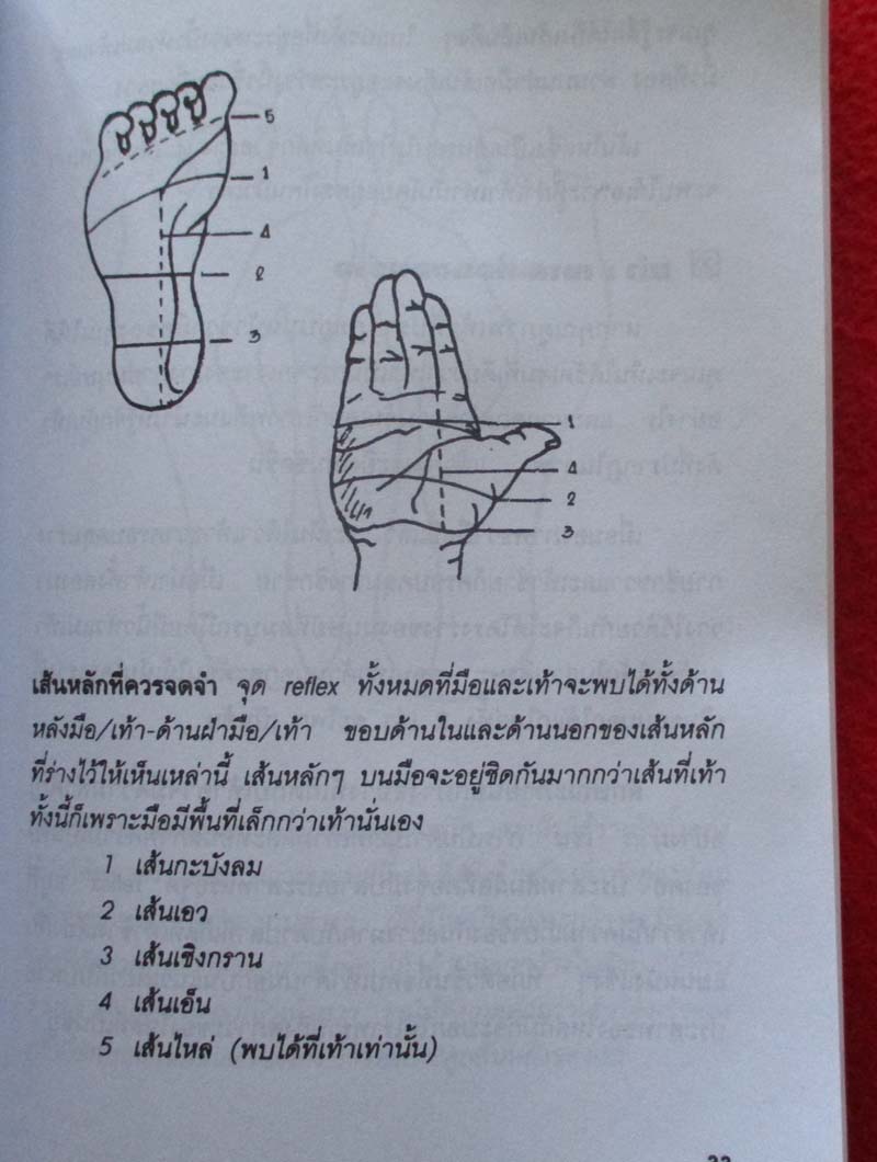  	 หนังสือ กดจุดมือ-เท้า บรรเทาโรค