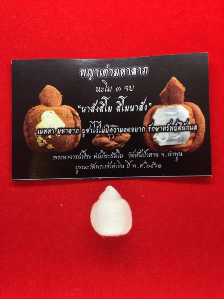 พญาเต่ามหาลาภ พระอาจารย์พีระ วัดสันป่าตาล ลำพูน