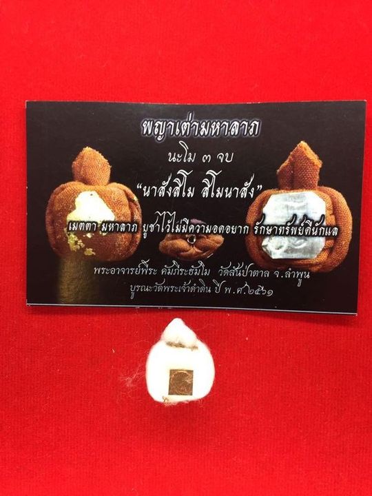 พญาเต่ามหาลาภ พระอาจารย์พีระ วัดสันป่าตาล ลำพูน
