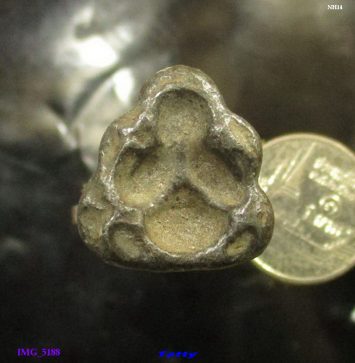 ปิดตาเนื้อตะกั่ว หลวงปู่เกลี้ยง วัดเนินสุทธาวาส ชลบุรี