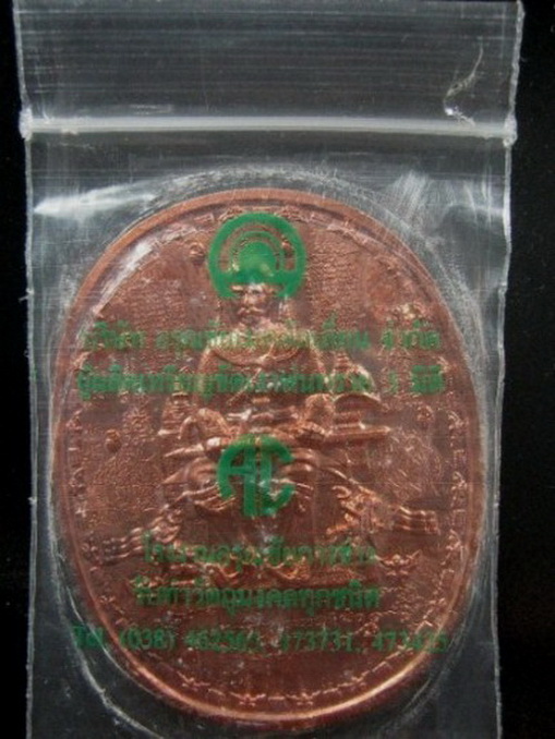 เหรียญสมเด็จพระนเรศวรมหาราช อาจารย์หม่อม นิรนาม ไตรภูมิ เหรียญมหายันต์ (2)