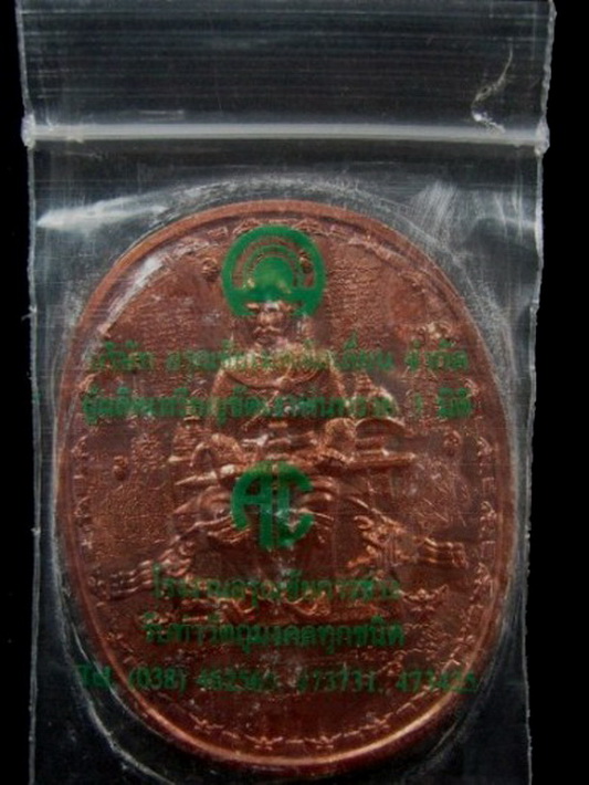 เหรียญสมเด็จพระนเรศวรมหาราช อาจารย์หม่อม นิรนาม ไตรภูมิ เหรียญมหายันต์ (1)