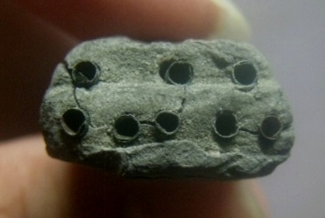 **วัดใจ**หลวงปู่ทวดเนื้อว่านหลังเจดีย์ กรรมการ ฝังตะกรุด 9 ดอก อาจารย์นอง วัดทรายขาว ปี ๒๕๓๕**