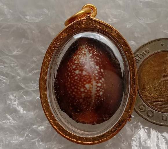 เบี้ยแก้หลวงพ่อทวด รุ่น3 วัดห้วยมงคล จ ประจวบฯ  ปี2551 สร้าง999องค์  เลี่ยมทองไมครอนเดิมจากวัด