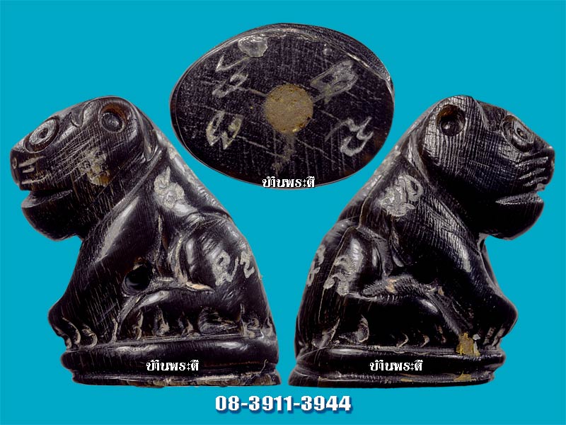 เสือ หลวงพ่อสิน แกะจากเขาควาย ใต้ฐานอุดผง วัดละหารใหญ่ จ.ระยอง (ตัวใหญ่)
